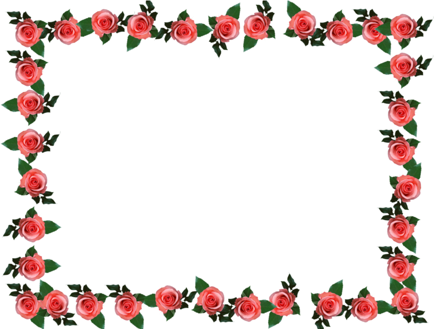 Poinsettia Border Clip Art - Poinsettia Border Clip Art (900x675)