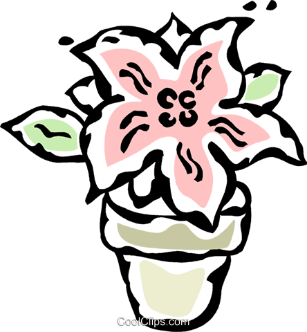 Poinsettia Royalty Free Vector Clip Art Illustration - Poinsettia Royalty Free Vector Clip Art Illustration (444x480)