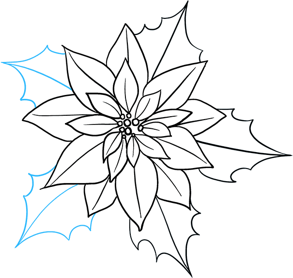680 X 678 6 - 680 X 678 6 (680x678)
