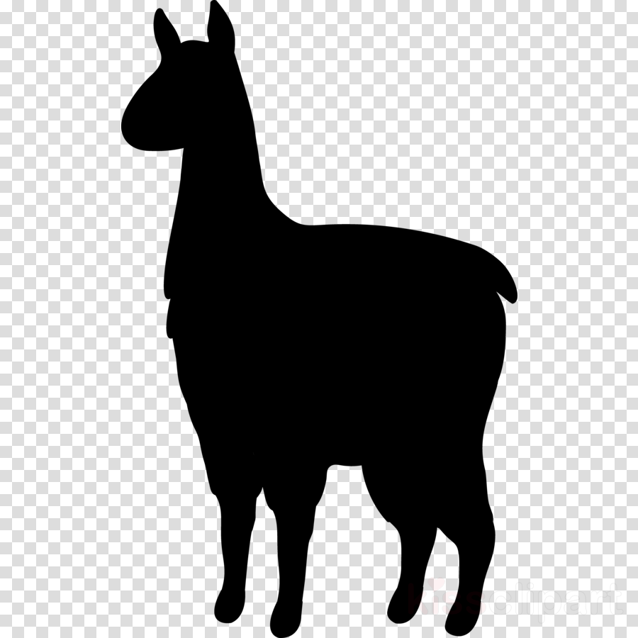 Dog Clipart Dog Breed Pembroke Welsh Corgi Mammal - Dog Clipart Dog Breed Pembroke Welsh Corgi Mammal (900x900)