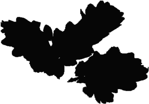 Rhineland-palatinate Ireland Map Computer Icons Silhouette - Rhineland-palatinate Ireland Map Computer Icons Silhouette (481x340)