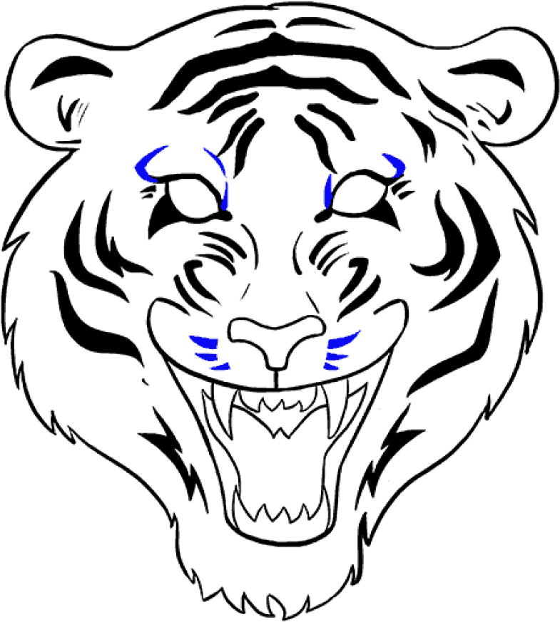 18 Tigers Drawing Easy For Free Download On Ya Webdesign - 18 Tigers Drawing Easy For Free Download On Ya Webdesign (1024x1024)