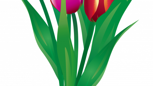 Exciting Free Pictures Of Flower Bouquets Bunches Cliparts - Exciting Free Pictures Of Flower Bouquets Bunches Cliparts (585x329)