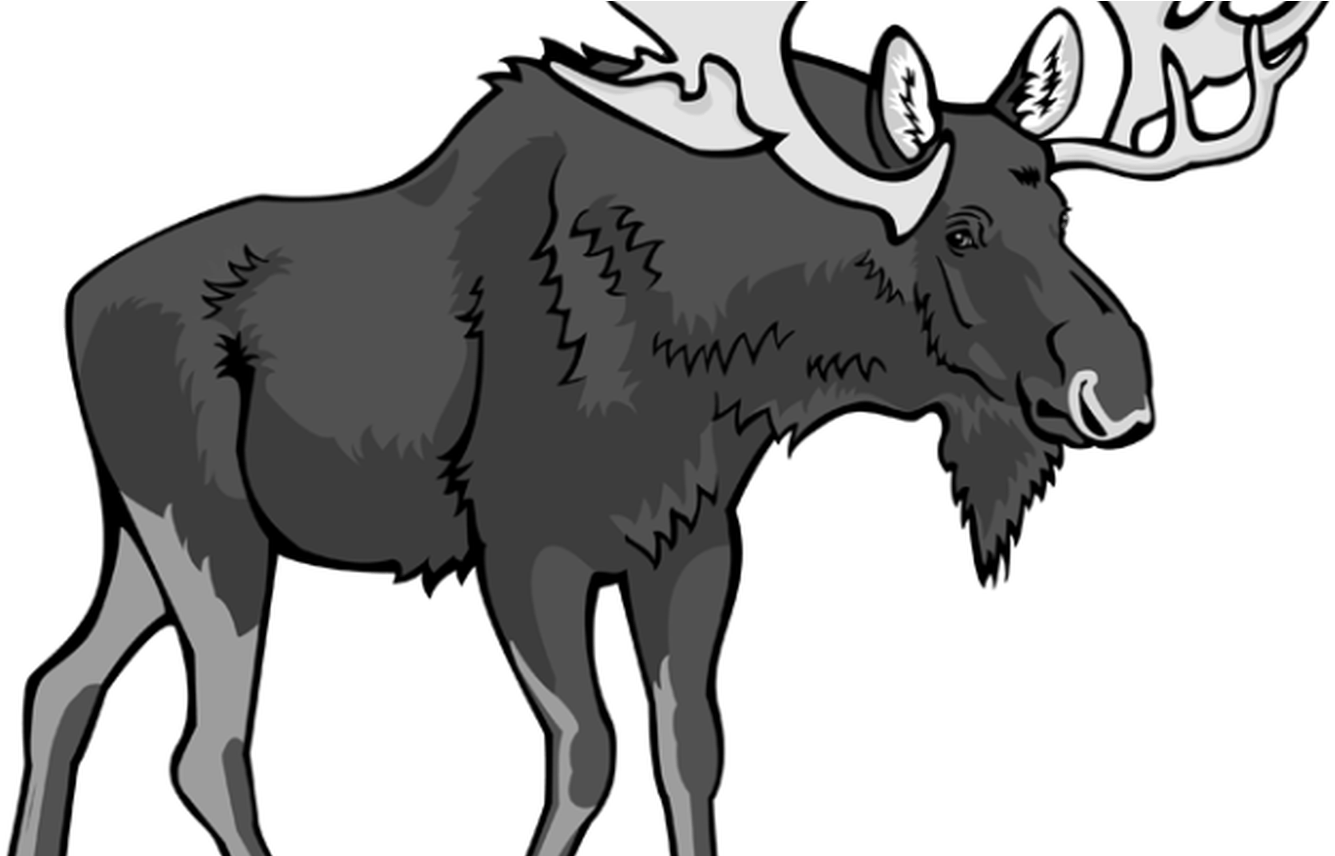 Moose Page 2 Of 7 Clipartblackcom - Moose Page 2 Of 7 Clipartblackcom (1368x855)