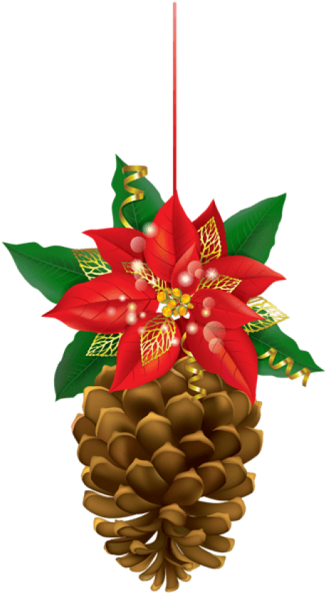 Free Png Christmas Pinecone With Poinsettia Png - Free Png Christmas Pinecone With Poinsettia Png (480x843)