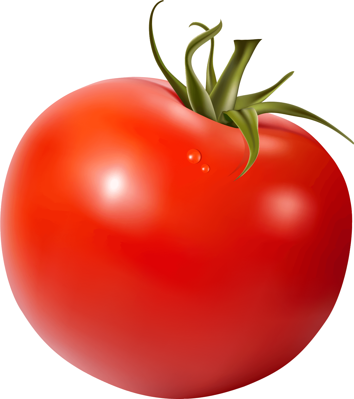 No Registration Required - No Registration Required (1911x1857)