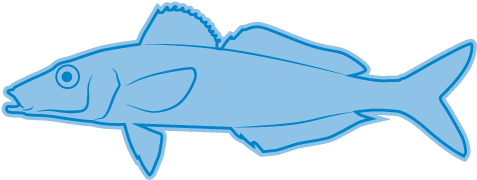 Southern School Whiting - Southern School Whiting (750x300)