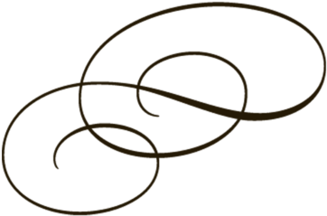 Decorative Horizontal Line Png - Decorative Horizontal Line Png (370x370)