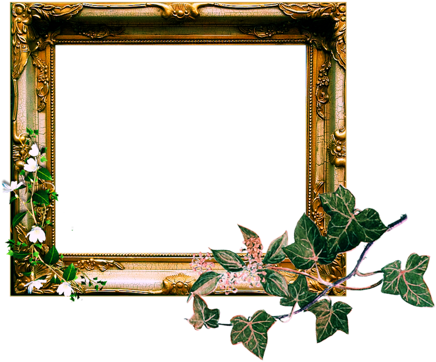 Vintage Ornate Frame Png By Sophia-t - Vintage Ornate Frame Png By Sophia-t (900x744)