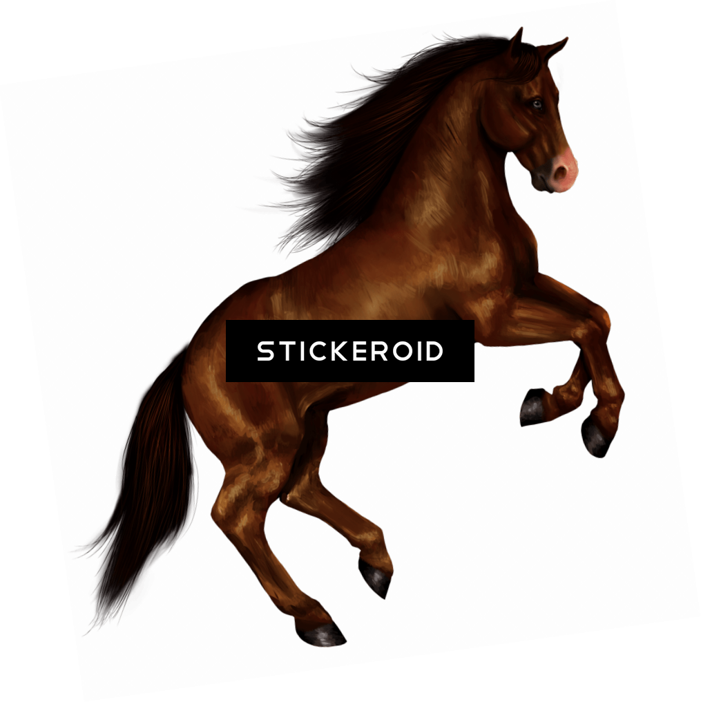Horse Лошадь Конь - Horse Лошадь Конь (1015x1016)