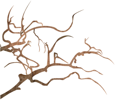 Sakura Tree Without Flowers And Leaves By Kyodanny - Sakura Tree Without Flowers And Leaves By Kyodanny (400x428)