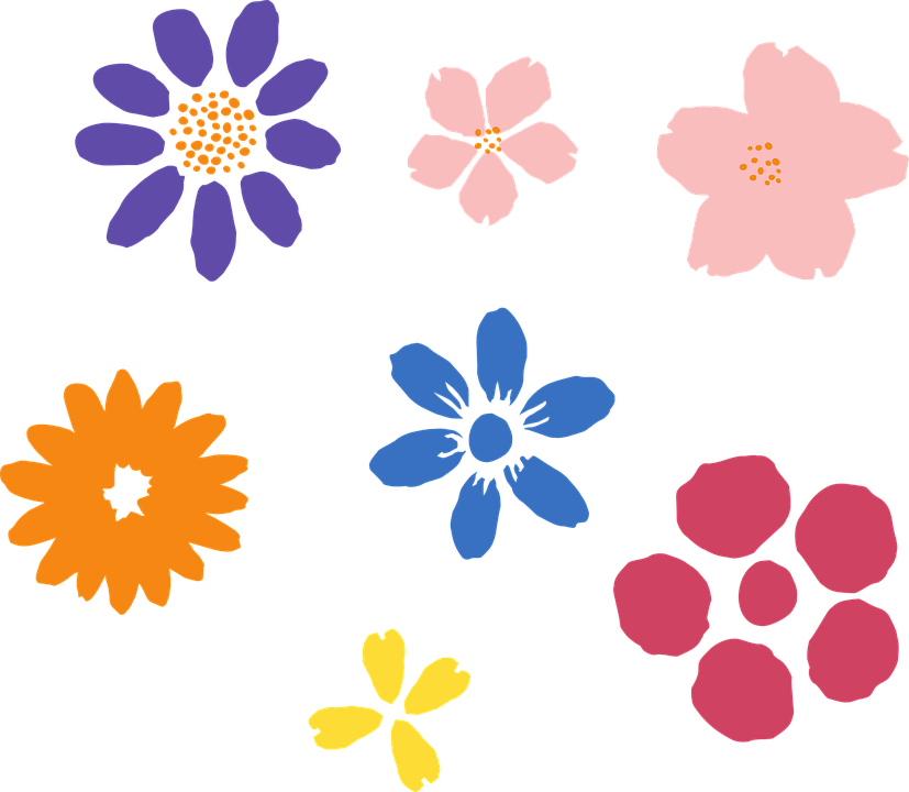 Cherry Blossom Clipart Hand Drawn - Cherry Blossom Clipart Hand Drawn (827x720)