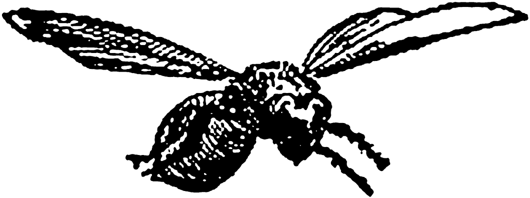 Carolyn Iott On Twitter - Illustration (1200x504)