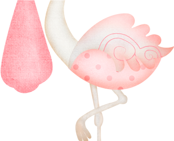 Stork Clipart Baby Boom - Greater Flamingo (640x480)