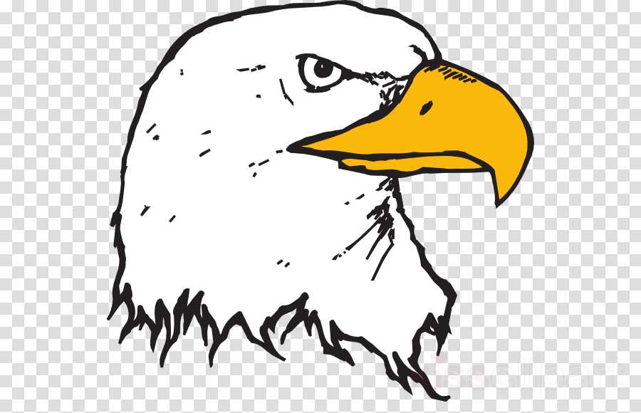 Thought Bubble Png Transparency (900x580)