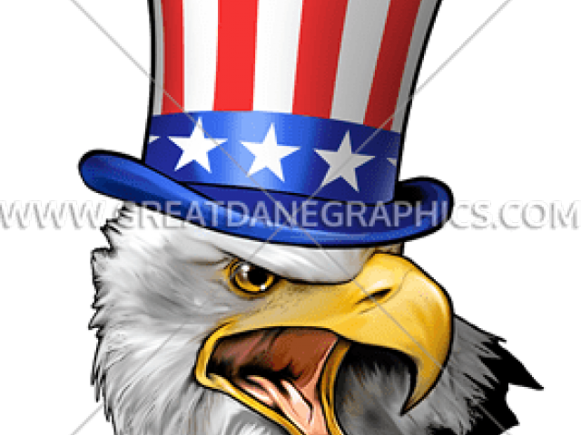 Uncle Sam Bald Eagle (640x480)