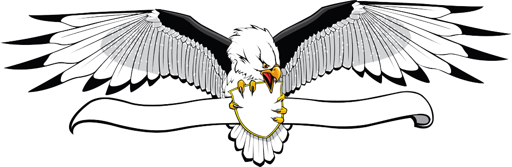 Bald Clip Art Wings Transprent Png Ⓒ - Aguila Vector (1000x327)