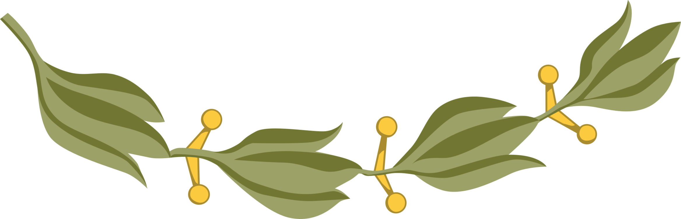 Bay Laurel Laurel Wreath Computer Icons Encapsulated - Escudo De Mexico (2335x750)