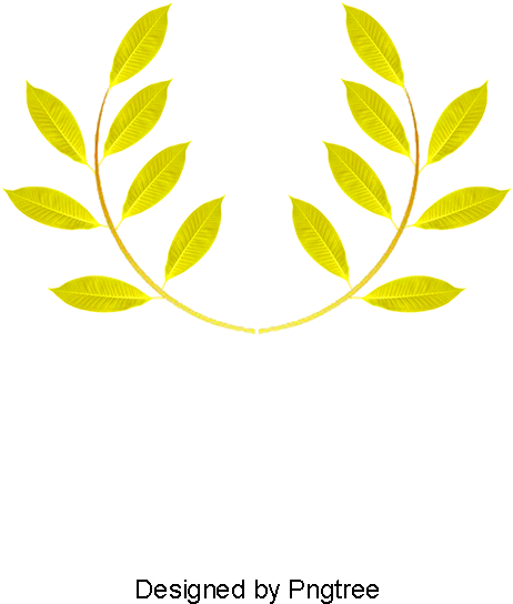 800 X 800 1 - Illustration (800x800)