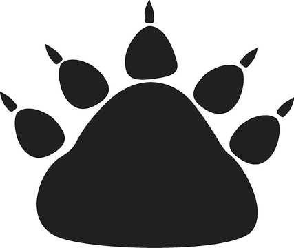 Clipart Paw Print Download Wallpaper Full Wallpapers - Bear Paw Transparent Background (427x360)