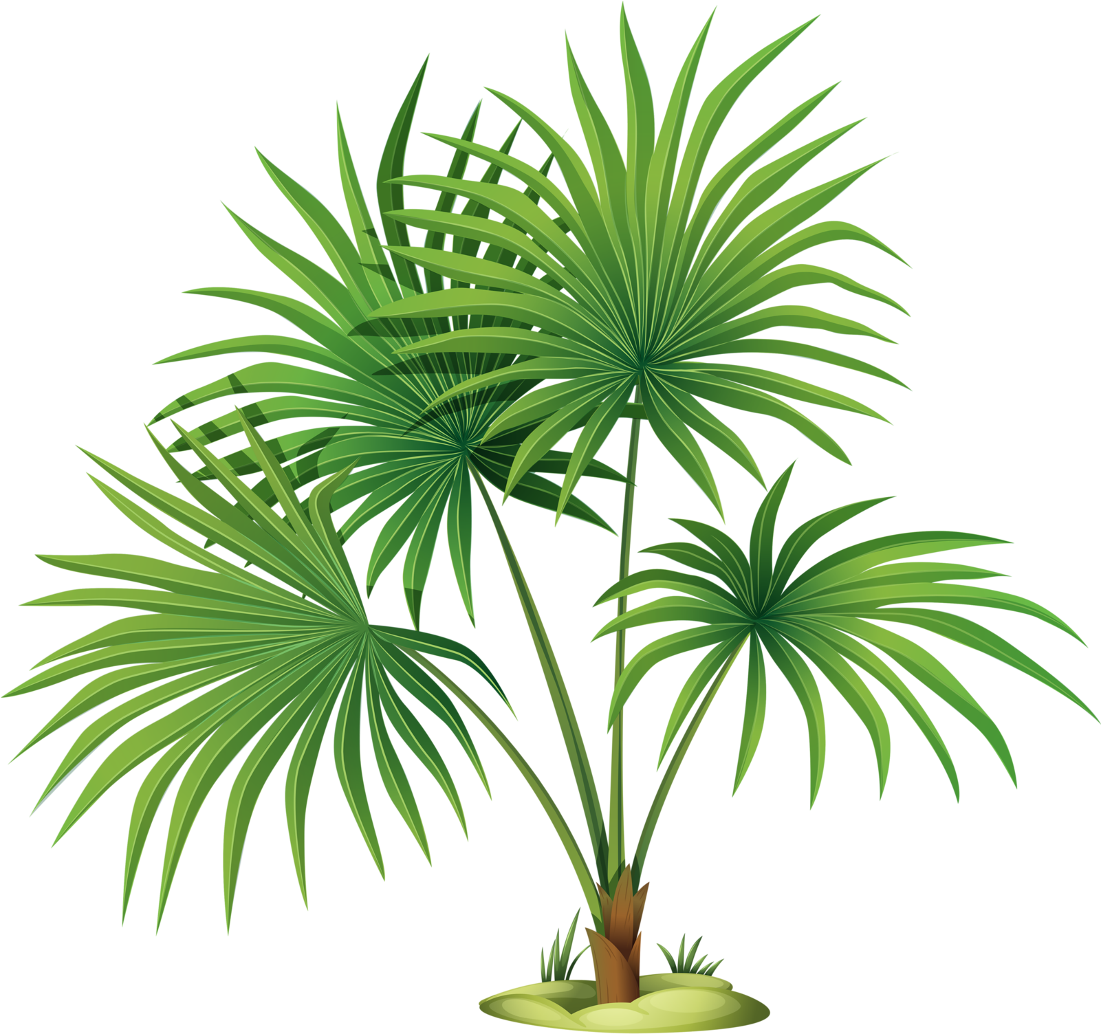 Palm Tree Leaves Clipart , Png Download - Palm Tree Leaves Clipart , Png Download (1601x1504)