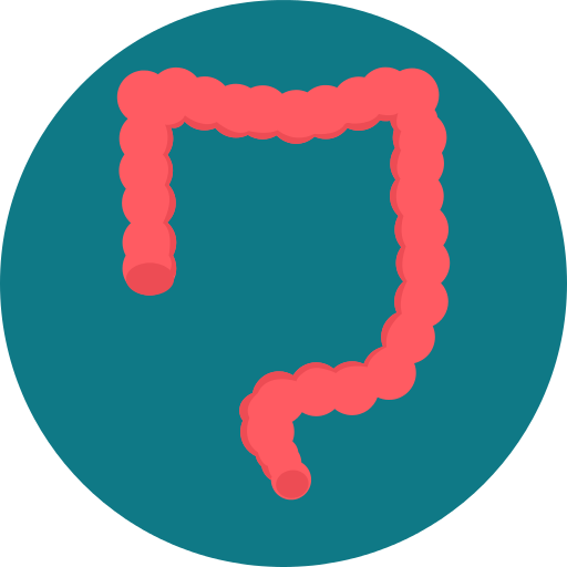 Muted Png File - Intestine Flat Icon Png (512x512)