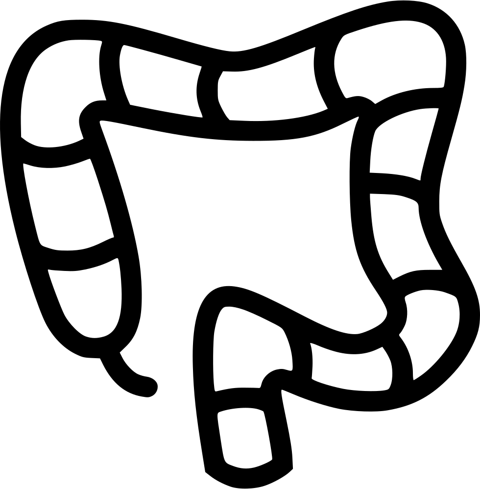 Colon Comments - Large Intestine (980x998)