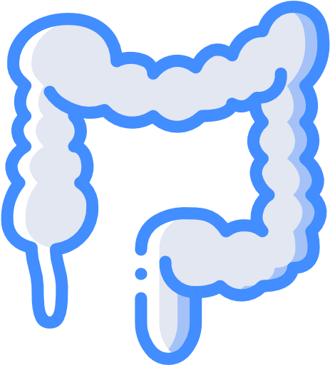 Colon Free Icon - Crohn's Disease (512x512)