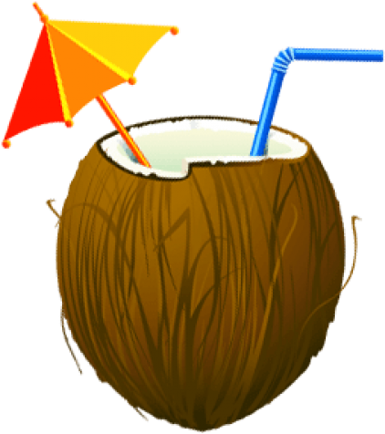 Free Png Download Transparent Summer Coconut Cocktail - Transparent Background Coconut Clipart (480x505)