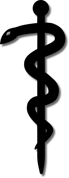 Aesculap Clip Art At Clker Com Vector Clip Art Online - Aesculap Symbol (228x590)