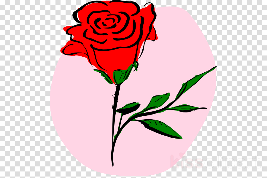 Rose - Bts Circle Icon Jhope (900x600)