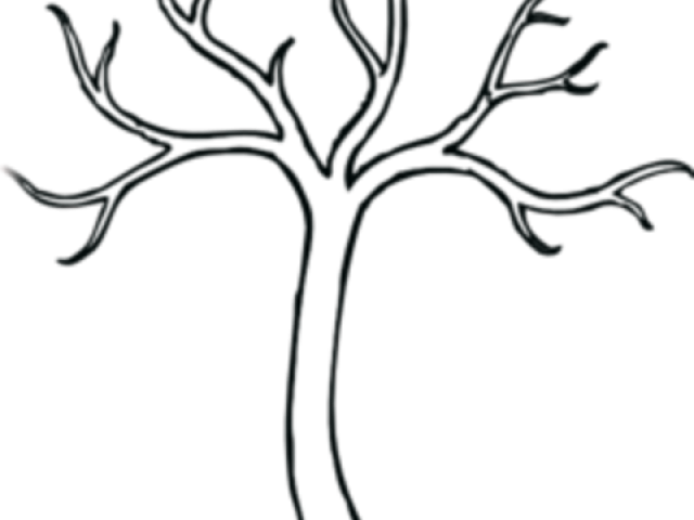 Barren Clipart Silhouette Tree - Outline Of A Tree Without Leaves (640x480)