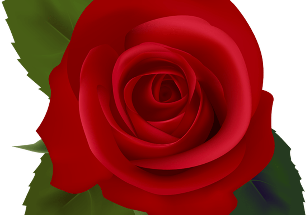 Red Flower Clip Free Download Art On Clip Art Clipartbarn - Floribunda (1368x855)