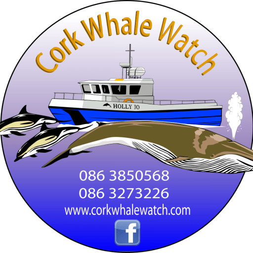 Cork Whale Watch Photo Gallery Whale Watching In West - Boat (512x512)