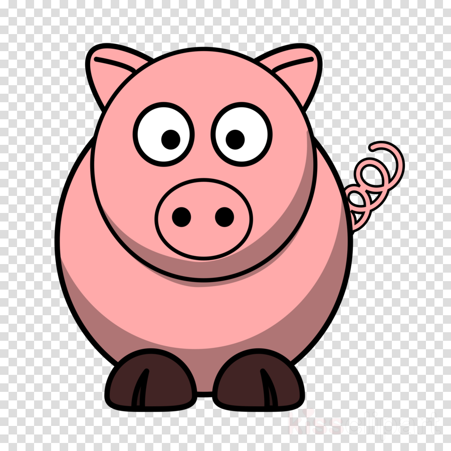 Cartoon Pig Front View (900x900)