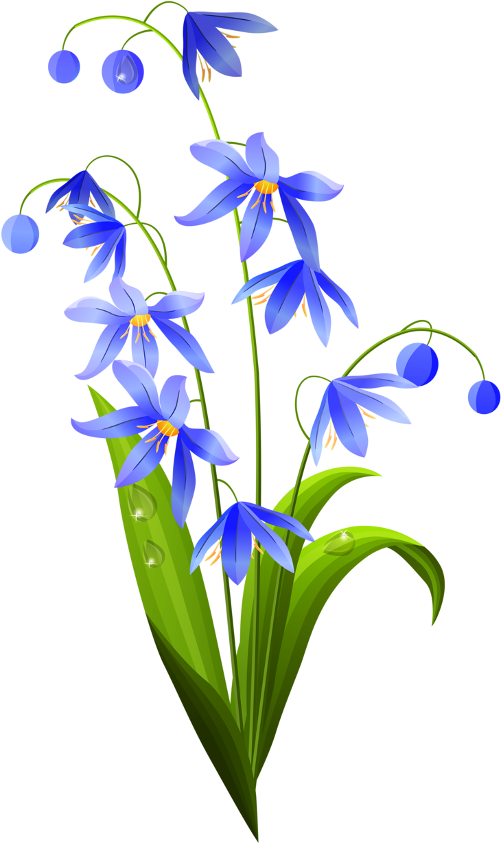 Фото, Автор Soloveika На Яндекс - Flowers Vector (788x1280)