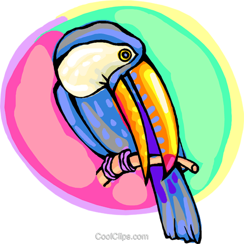 Toucan On A Branch Royalty Free Vector Clip Art Illustration - Toucan On A Branch Royalty Free Vector Clip Art Illustration (480x480)