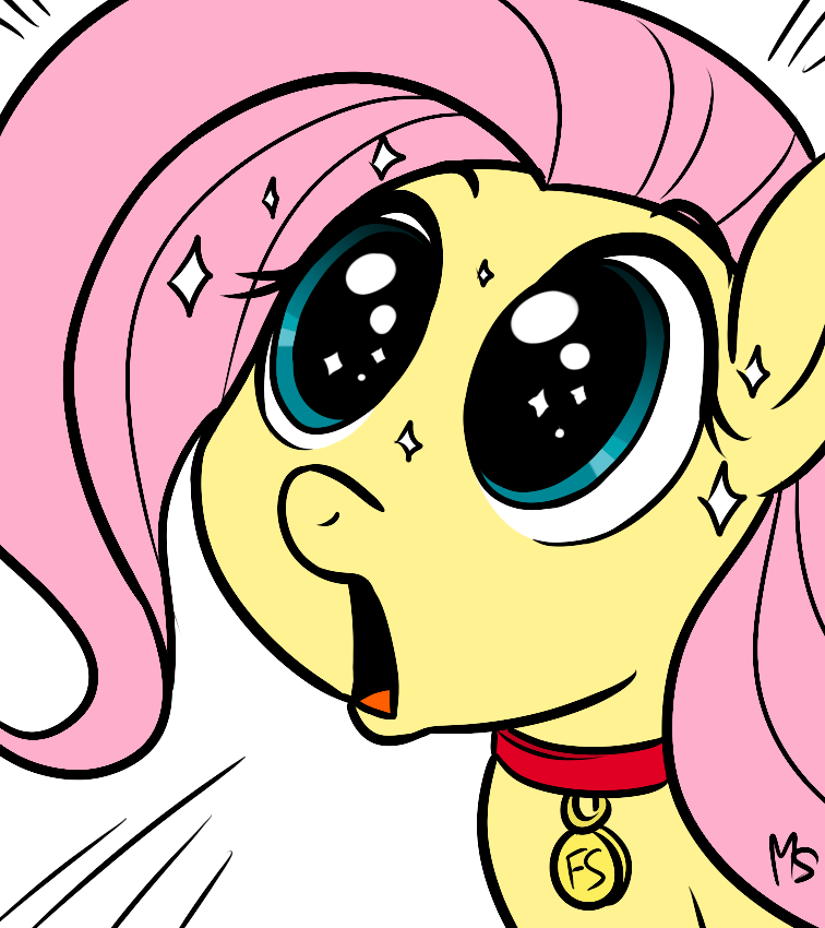 File 133969364920 - Mlp Fluttershy Collar (756x850)