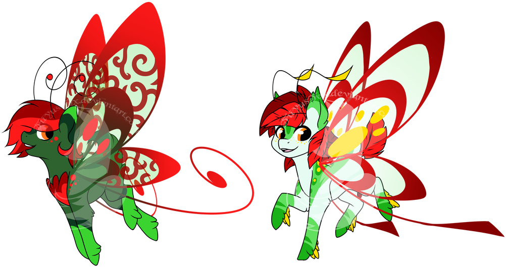 Holiday Darter Set - Illustration (1024x560)