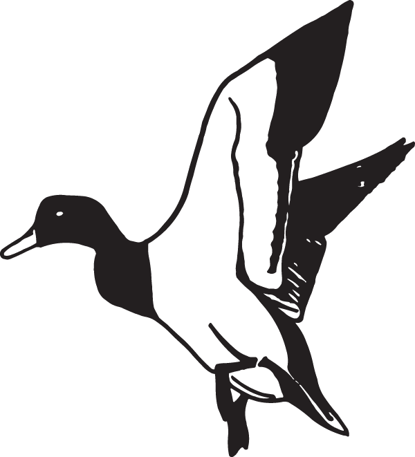 16334 - Duck Flying Clipart Black And White (600x661)