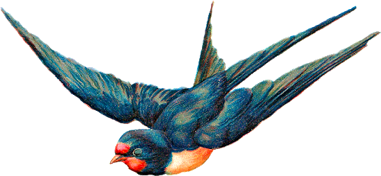 Blue Bird Digital Illustration - Flying Bird Free Png (620x317)