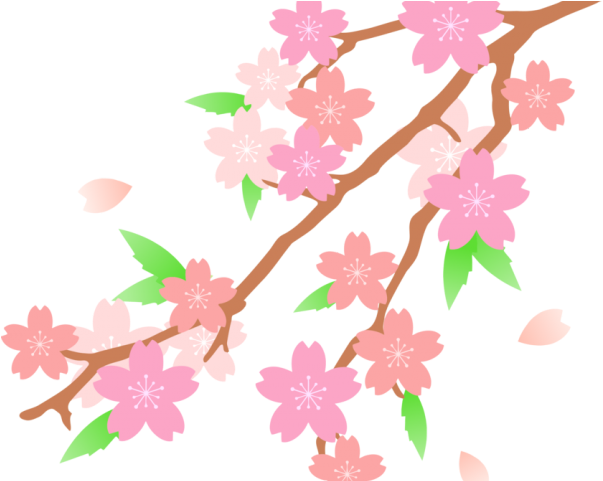 Cherry Tree Clipart Fruit Flower Clipart - Png Blossom Flower Drawn (640x480)