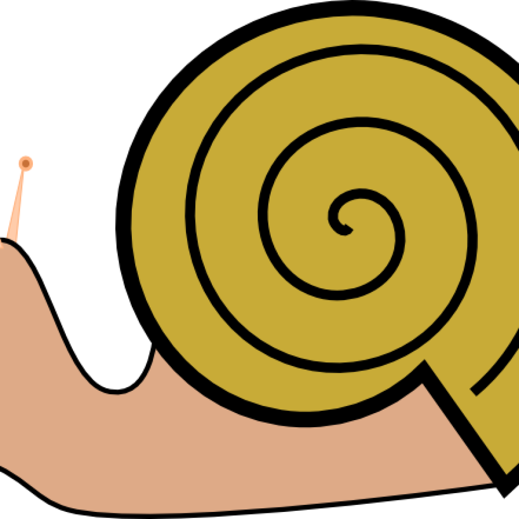 Snail Clipart Pond Snail - Snail (1024x1024)