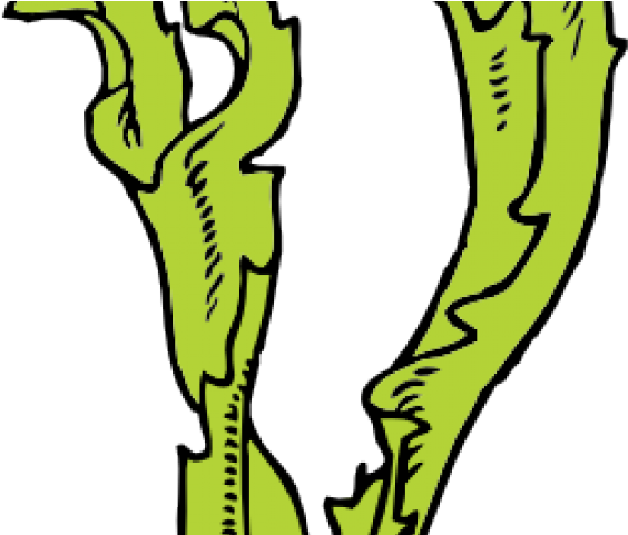 Pond Clipart Underwate Grass - Seaweed Clip Art (640x480)