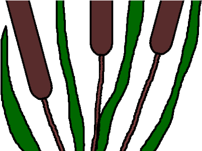Download Wallpaper Full Wallpapers The World Widest - Bulrushes Clipart (450x300)