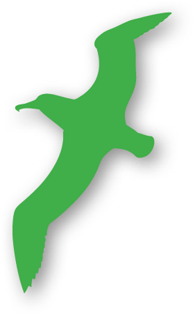 Pond-bird - Pond-bird (438x545)