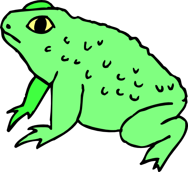 Original Png Clip Art File Warty Frog Svg Images Downloading - Original Png Clip Art File Warty Frog Svg Images Downloading (600x551)