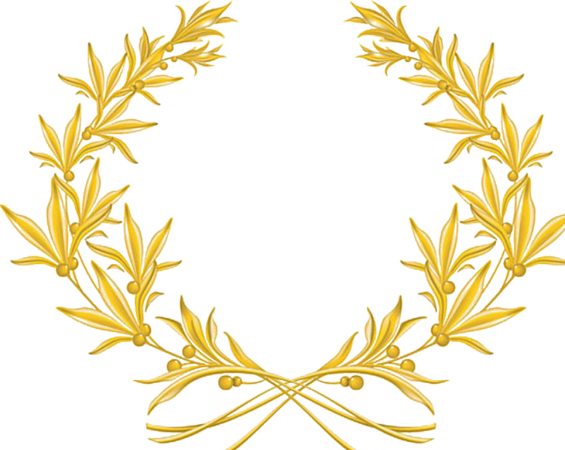 Image Royalty Free Download Golden Vector Olive Branch - Gold Olive Branch Png (800x637)