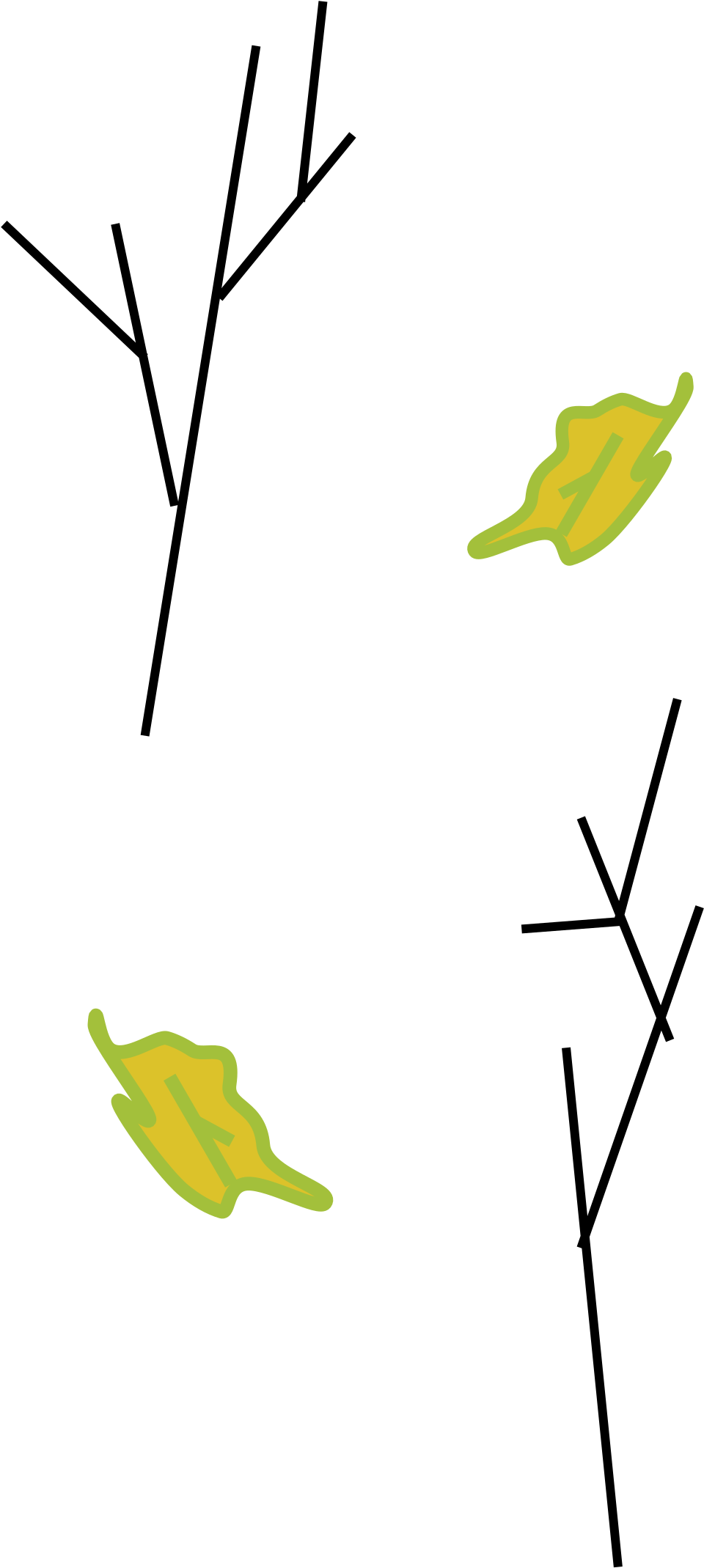Branches And Leaves - Branches And Leaves (1200x2400)