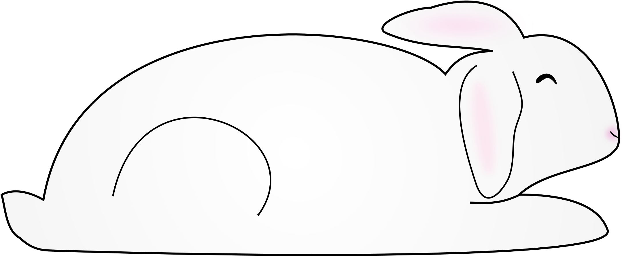 Big Image - Rabbit (2400x973)